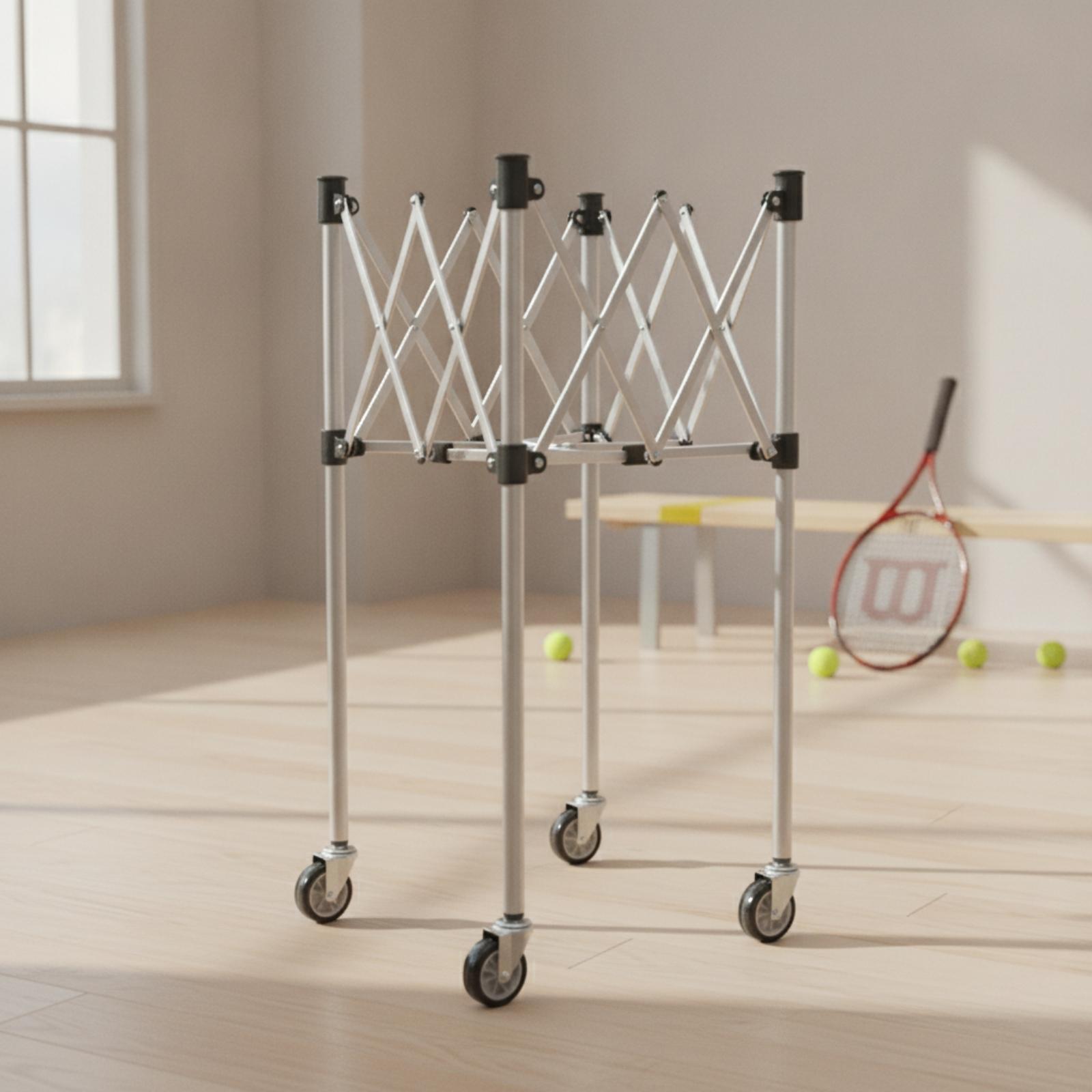 Carrito Plegable para Almacena - Gym Ball reseña y precio