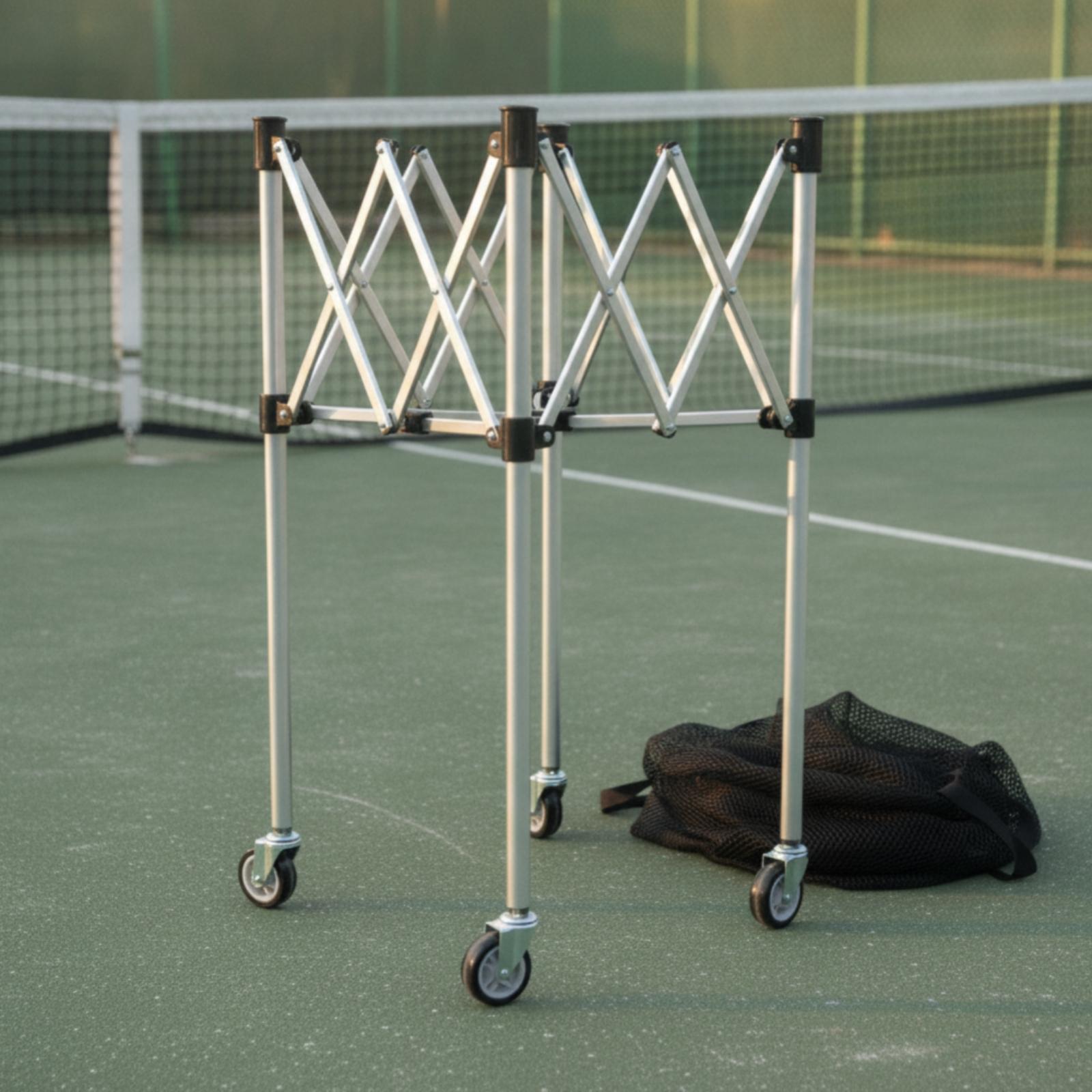 Carrito Plegable para Almacena - Gym Ball reseña y precio