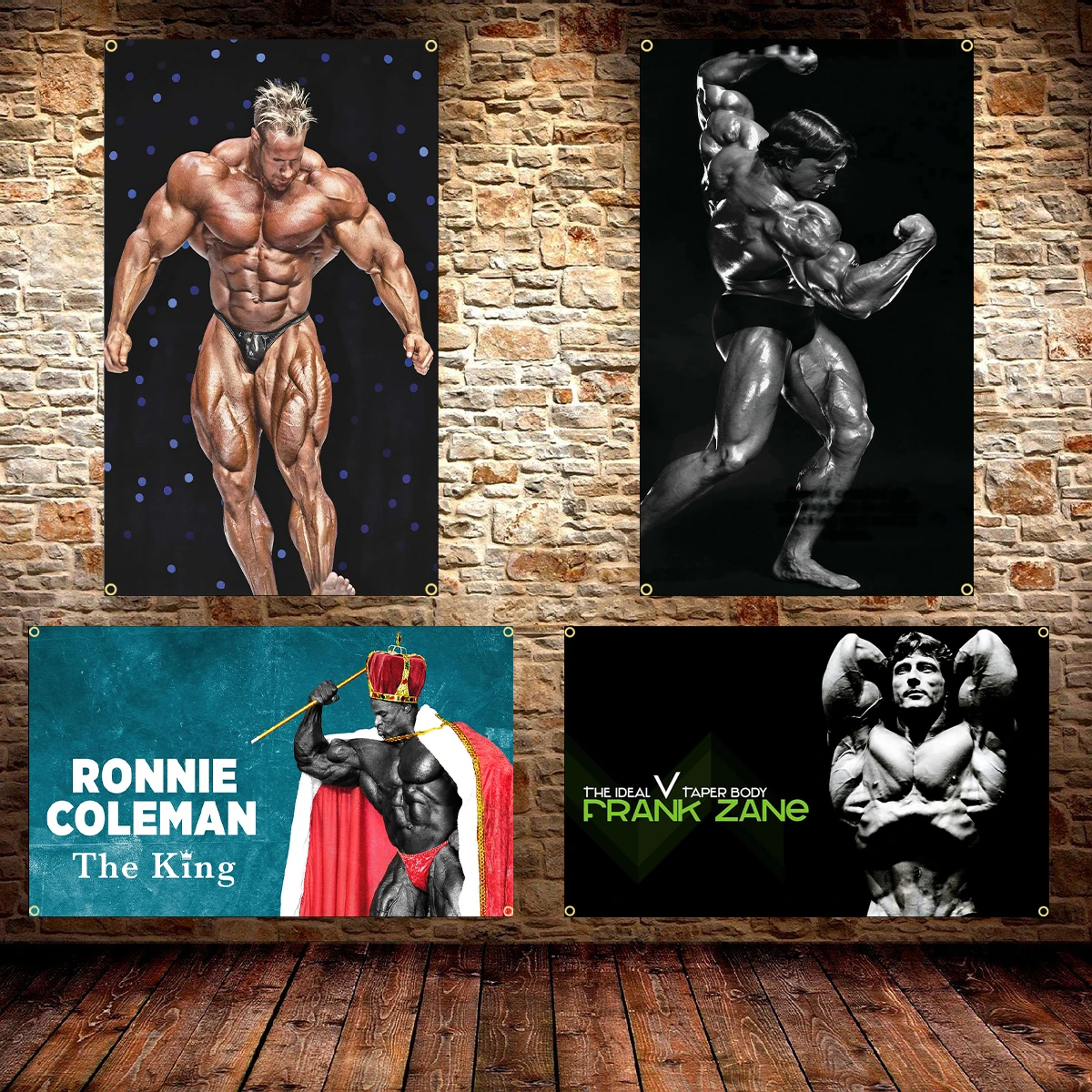 Bandera de gimnasio de culturi - Sports Equipment Poster reseña y precio